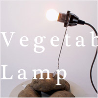 Vegetable Lamp